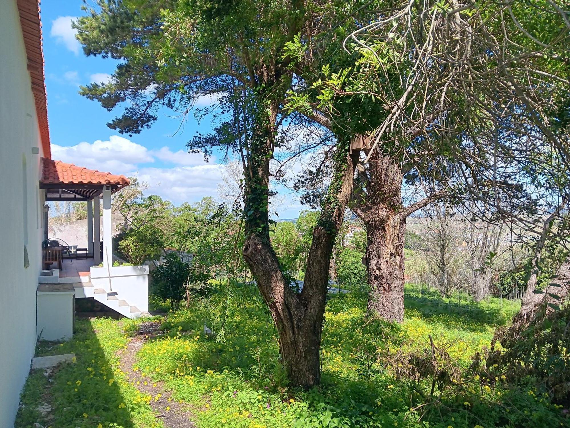 Quintinha A 35Min De Lisboa Villa Mafra Buitenkant foto